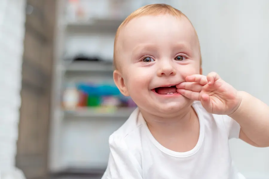 dientes de leche cleardent